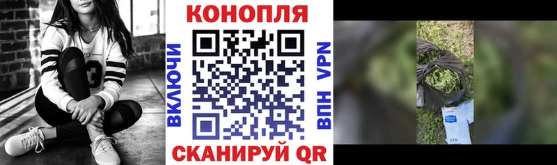 Купить где  Звенигород  Бошки Шишки план 
